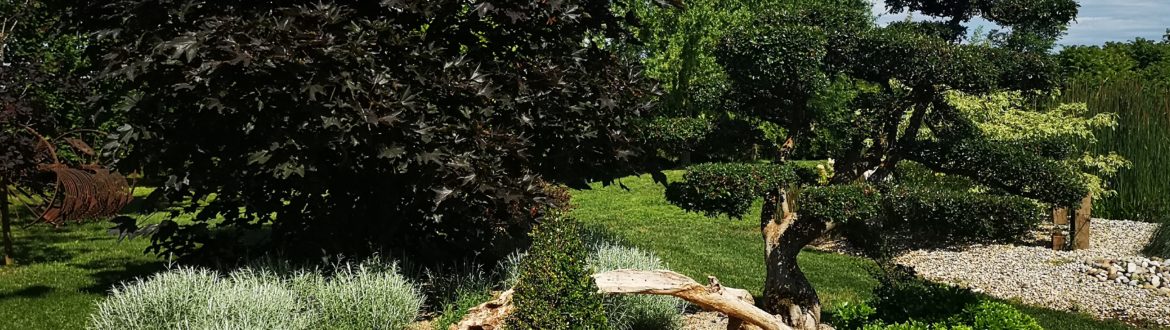 Giardini Biopool Garden Bonsai
