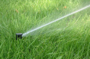 installazione impianti di irrigazione 4