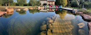 Biolago Lago Di Garda Verona Agriturismo Biolago Agriturismo Lago Di Garda Verona