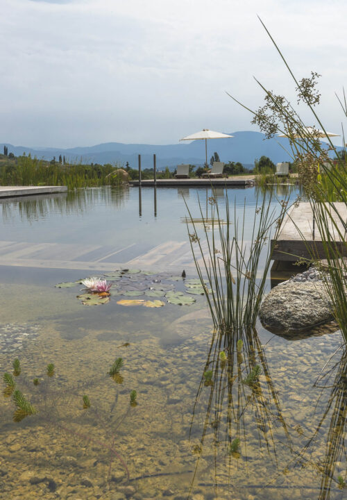 Biolago e Biopiscina a Casa Viva al Lago di Garda