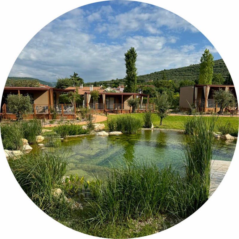 Biopiscina, come funziona un Biolago?