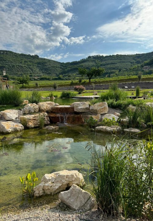 Biopiscina con Cascata in Val di Venere a Verona