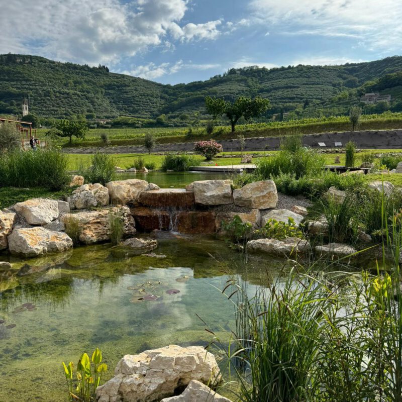 Biopiscina con Cascata in Val di Venere a Verona