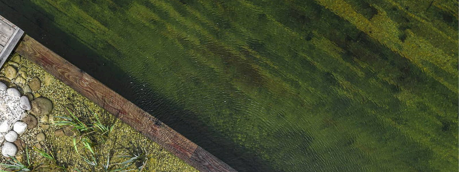 Come Progettiamo e Costruiamo le nostre Biopiscine e Biolaghi