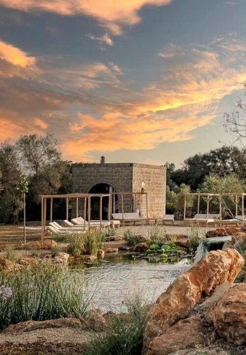 Costruzione Biopiscina in Puglia