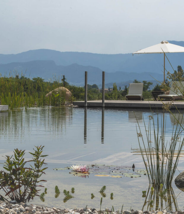 Fitodepurazione Biopiscina a Casa Viva Lago di Garda