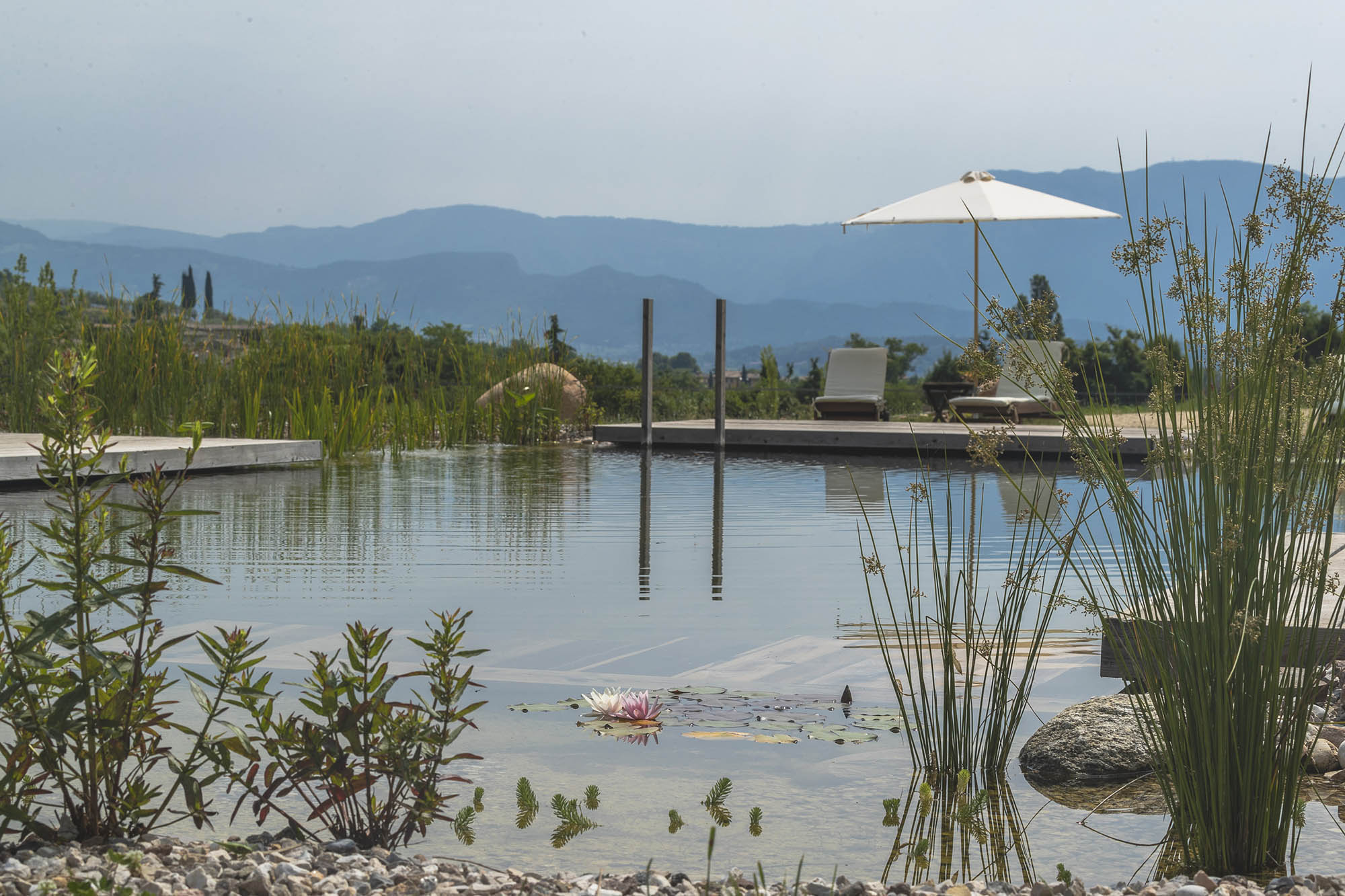 Casa Viva • Eco sleep & Bio pool