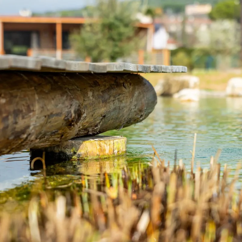 Dettaglio del Pontile in Legno della Biopiscina in Val di Venere a Verona